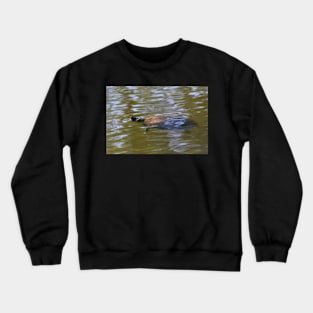 turtle swimming at Trojan pond, near Goble, Oregon 2 Crewneck Sweatshirt